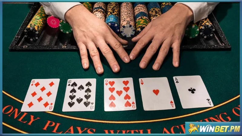Đánh giá của người chơi về nhà cái Poker uy tín Winbet